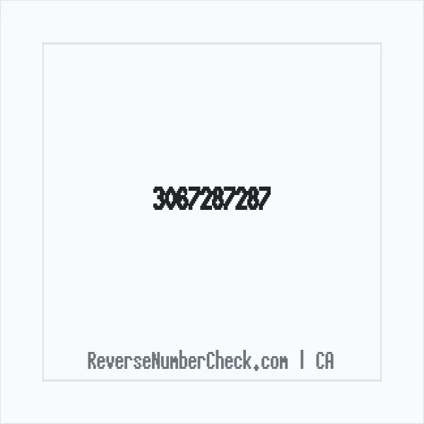 Phone number +1 (306) 728-7287 image