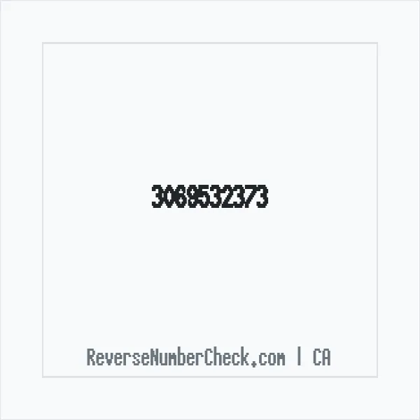 Phone number +1 (306) 953-2373 image