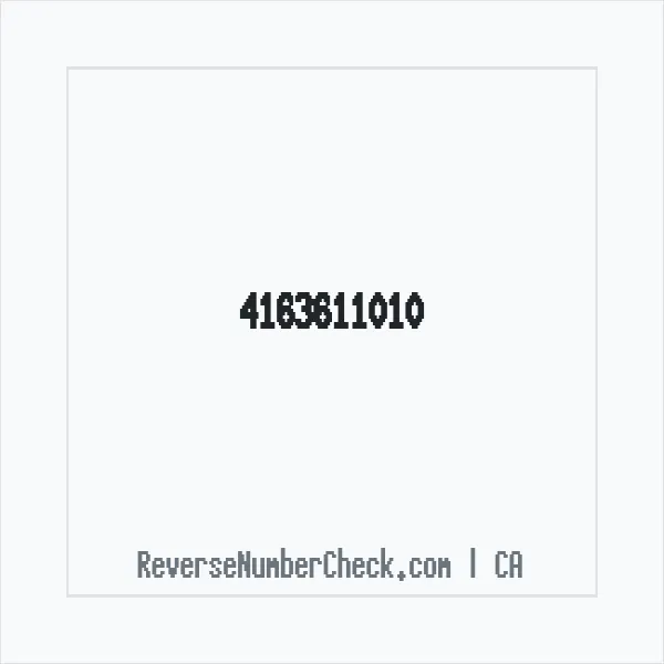 Phone number +1 (416) 361-1010 image