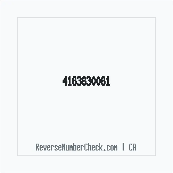 Phone number +1 (416) 363-0061 image