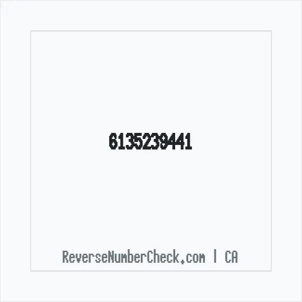 Phone number +1 (613) 523-9441 image