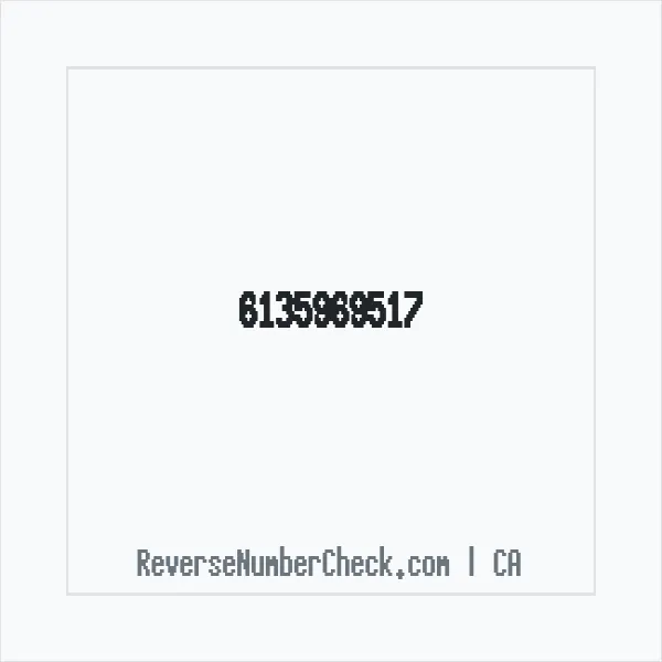 Phone number +1 (613) 596-9517 image
