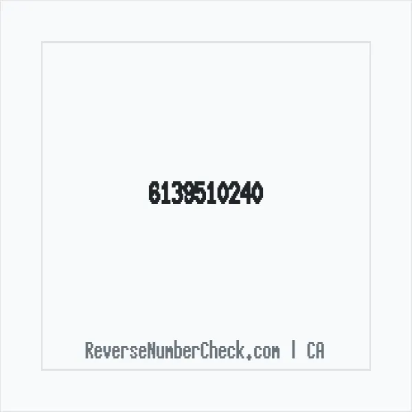 Phone number +1 (613) 951-0240 image