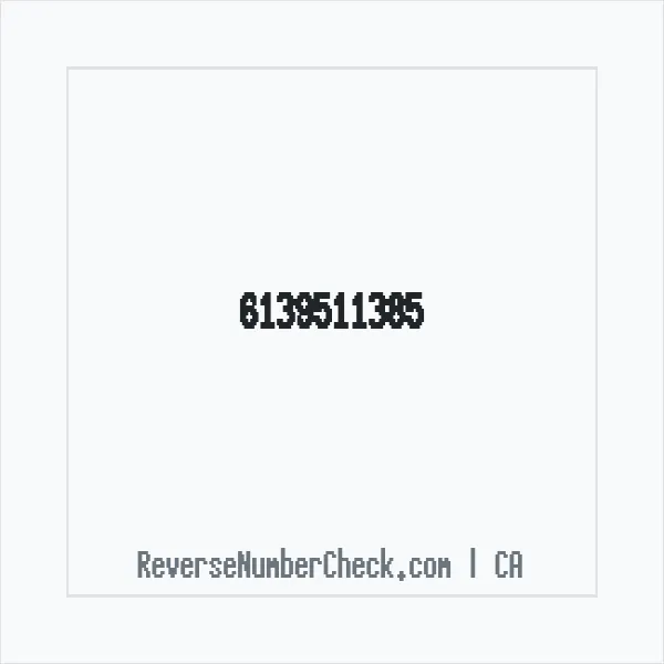 Phone number +1 (613) 951-1385 image