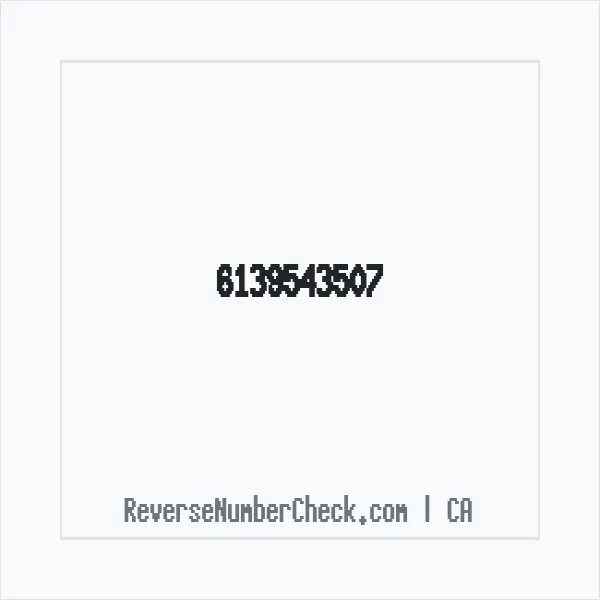 Phone number +1 (613) 954-3507 image