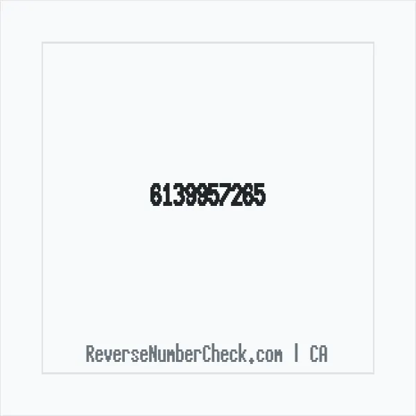 Phone number +1 (613) 995-7265 image