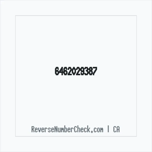Phone number +1 (646) 202-9387 image