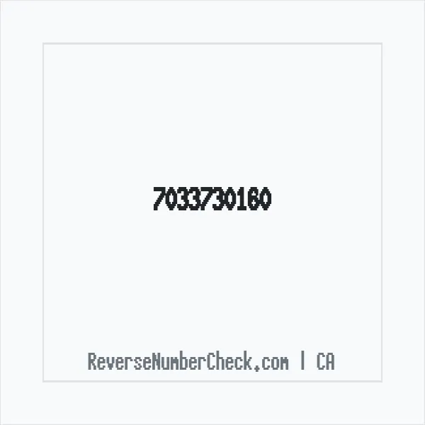 Phone number +1 (703) 373-0160 image