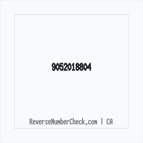 Phone number +1 (905) 201-8804 image