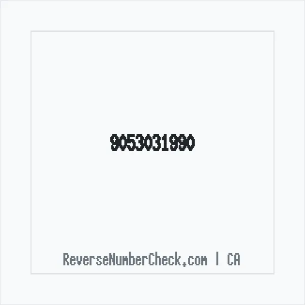 Phone number +1 (905) 303-1990 image