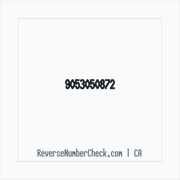 Phone number +1 (905) 305-0872 image