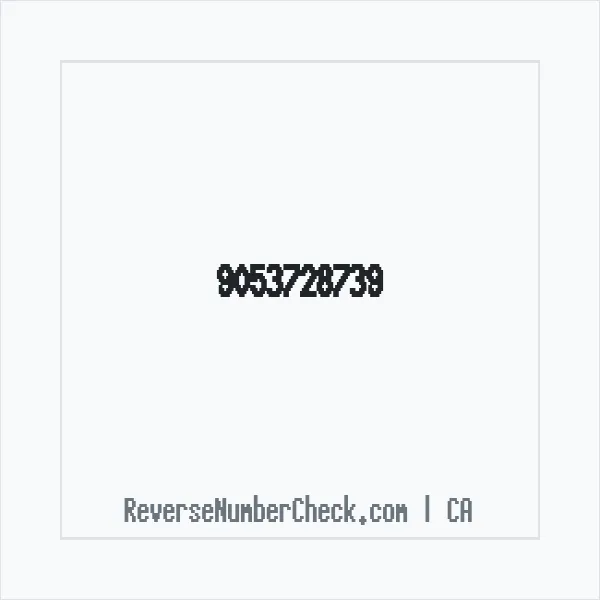 Phone number +1 (905) 372-8739 image