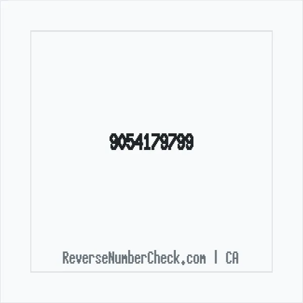 Phone number +1 (905) 417-9799 image