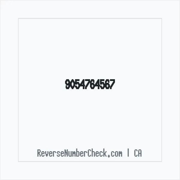 Phone number +1 (905) 476-4567 image