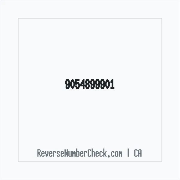 Phone number +1 (905) 489-9901 image