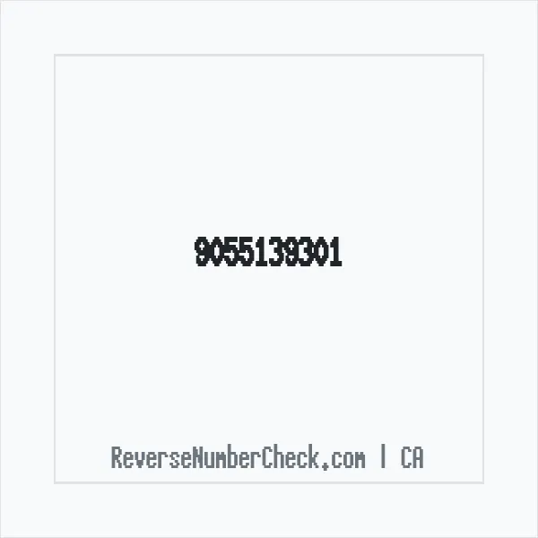 Phone number +1 (905) 513-9301 image