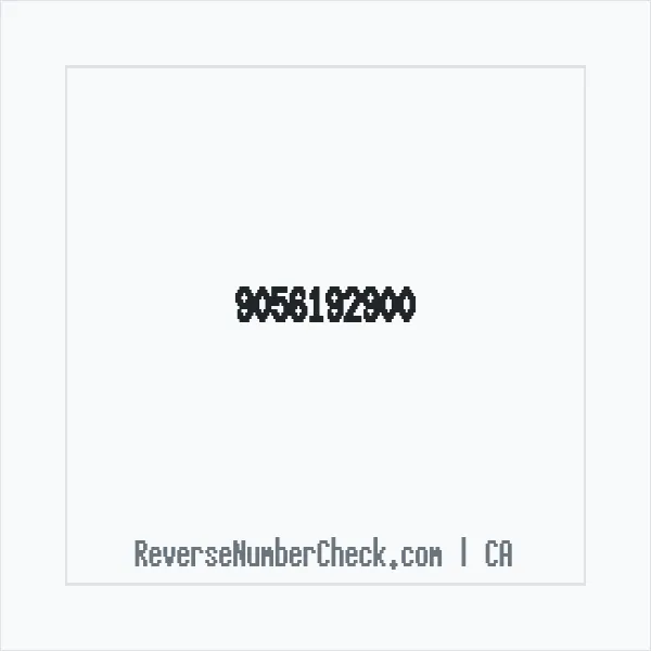 Phone number +1 (905) 619-2900 image