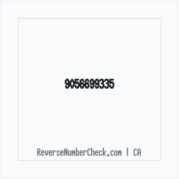 Phone number +1 (905) 669-9335 image