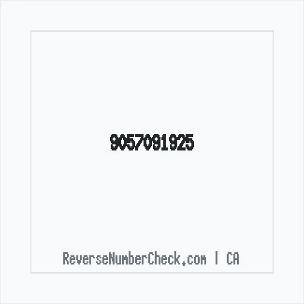 Phone number +1 (905) 709-1925 image