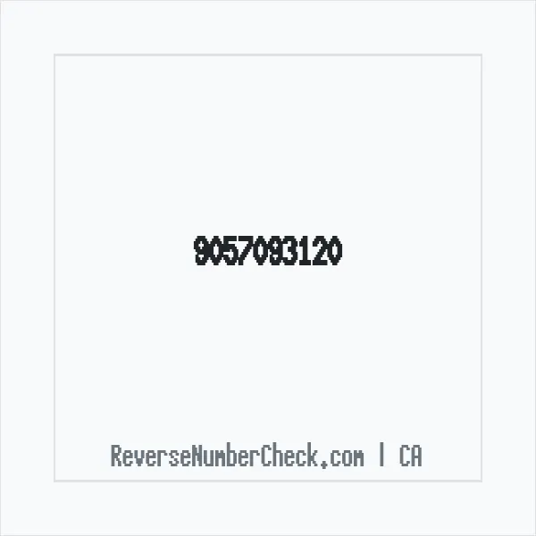 Phone number +1 (905) 709-3120 image
