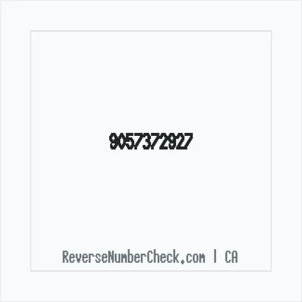 Phone number +1 (905) 737-2927 image