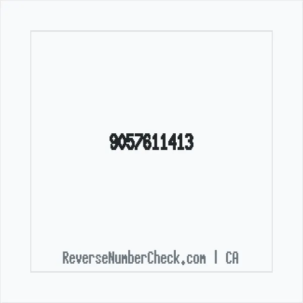 Phone number +1 (905) 761-1413 image
