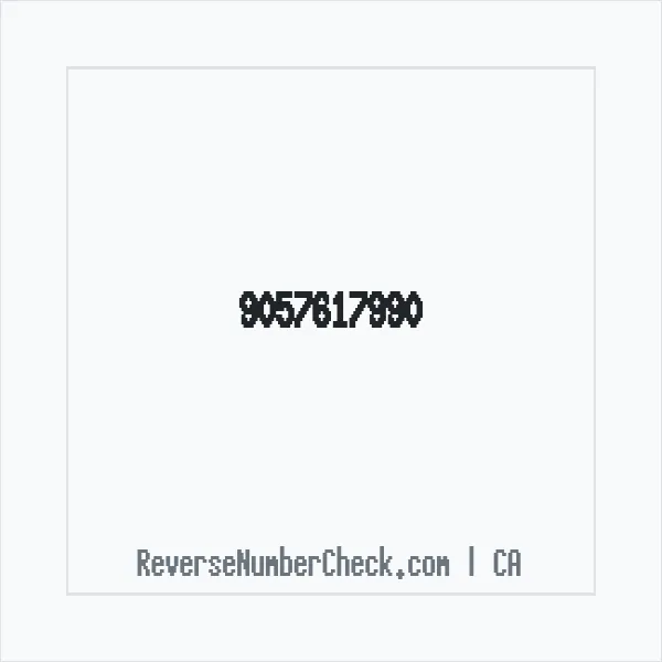 Phone number +1 (905) 761-7990 image