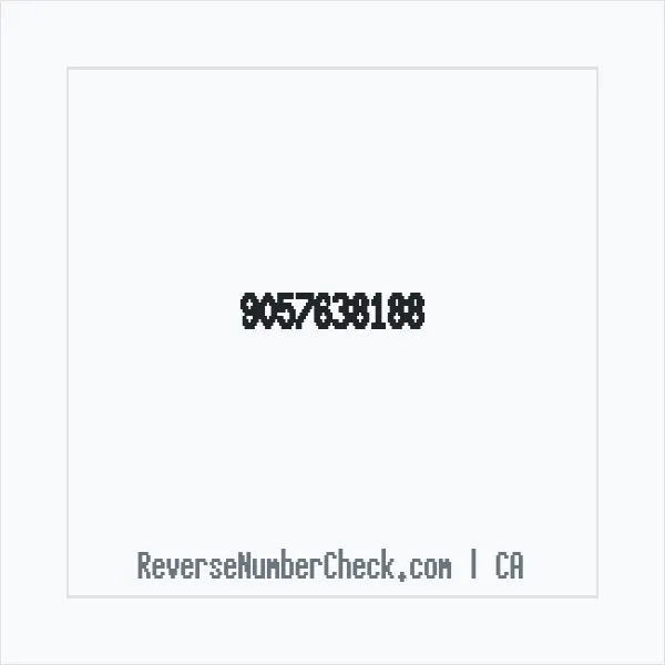 Phone number +1 (905) 763-8188 image