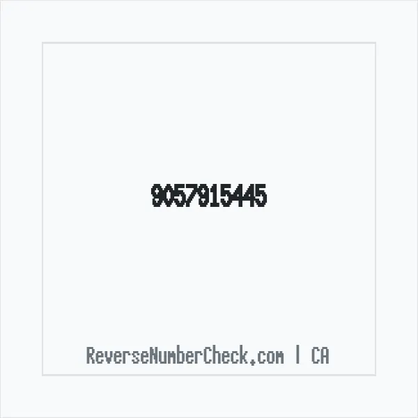 Phone number +1 (905) 791-5445 image