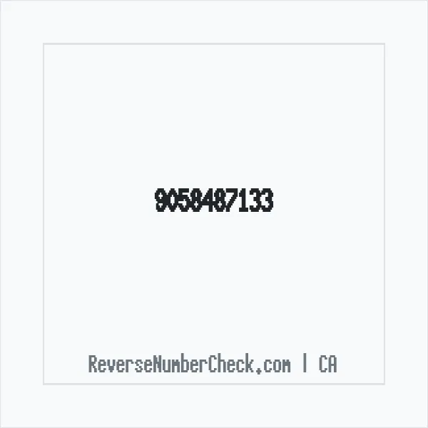 Phone number +1 (905) 848-7133 image