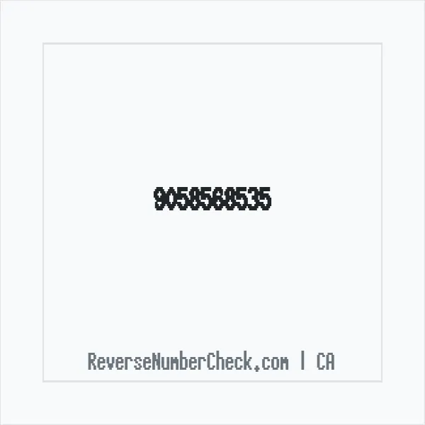 Phone number +1 (905) 856-8535 image