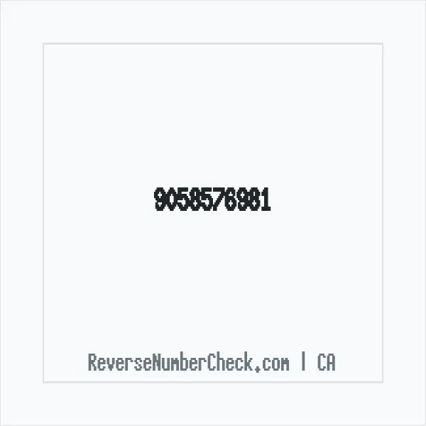 Phone number +1 (905) 857-6981 image