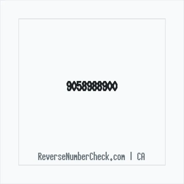 Phone number +1 (905) 898-8900 image
