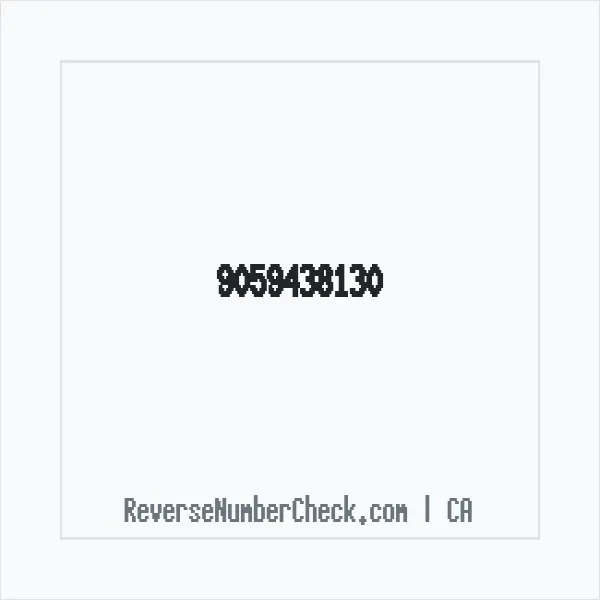 Phone number +1 (905) 943-8130 image