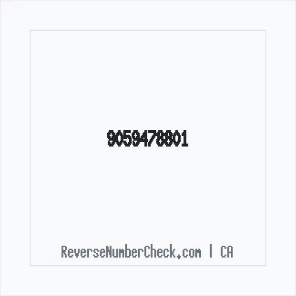 Phone number +1 (905) 947-8801 image